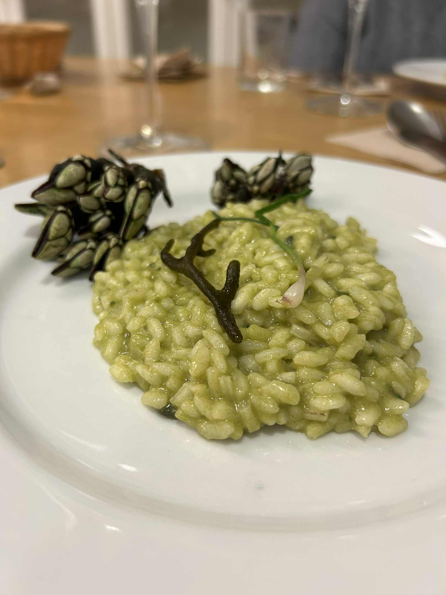 Exploring the Future of Food with Porto-Muiños